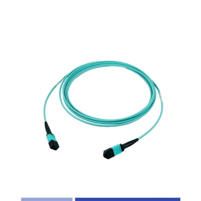 kopen 12 vezels Plenum MTP Patch Cord Multimode OM3 Vrouwelijk 3m Type B online vervaardiging