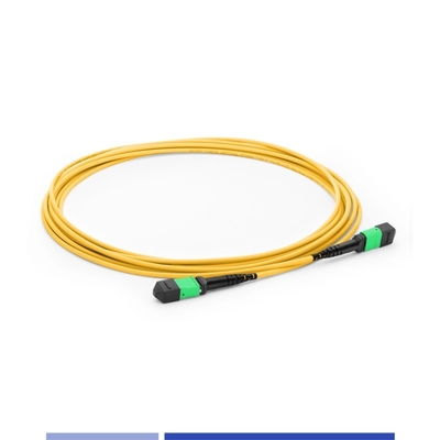 12 Core MTP® Fiber Optic Patch Cord Vrouwelijke Single Mode G652D 10m Fiber Patch Cables OFNP Type B
